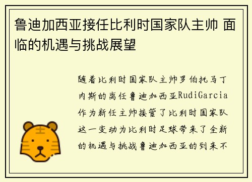 鲁迪加西亚接任比利时国家队主帅 面临的机遇与挑战展望