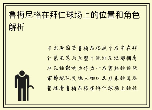 鲁梅尼格在拜仁球场上的位置和角色解析