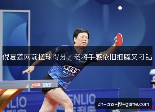 倪夏莲网前搓球得分，老将手感依旧细腻又刁钻